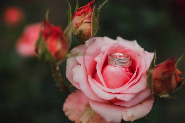 Pourquoi les roses éternelles sont-elles devenues le cadeau tendance?